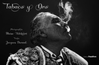 Tabaco y oro