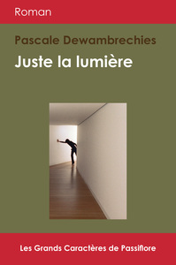 Juste la lumière - roman