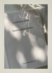 CERITH WYN EVANS. LUEURS EMPRUNTEES