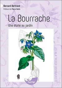 La Bourrache - Une étoile au jardin - Vol. 14