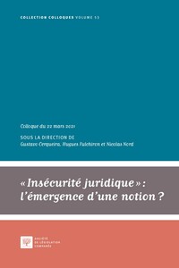 Insécurité juridique : l'émergence d'une notion ?