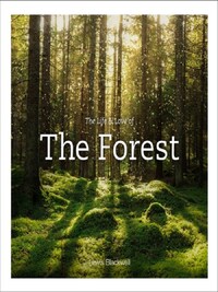 THE LIFE AND LOVE OF THE FOREST