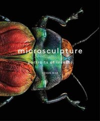 MICROSCULPTURE-PORTRAIT OF INSECTS