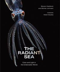 The Radiant Sea Color and Light In the Underwater World