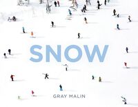 Gray Malin Snow