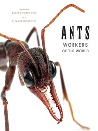 ANTS