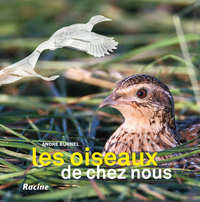 Les oiseaux de chez nous