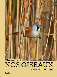 Observons nos oiseaux dans leur biotope
