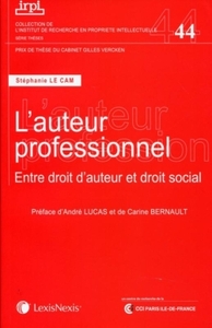 L AUTEUR PROFESSIONNEL