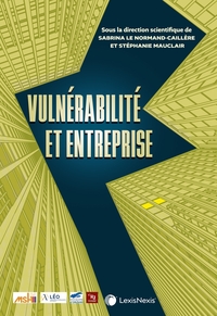 VULNERABILITE ET ENTREPRISE