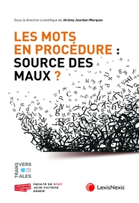 Les mots en procédure : source des maux ?