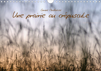 UNE PRAIRIE AU CREPUSCULE (CALENDRIER MURAL 2020 DIN A4 HORIZONTAL) - BEAUTE DES GRAMINEES (CALENDRI