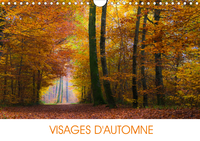 VISAGES D'AUTOMNE (CALENDRIER MURAL 2020 DIN A4 HORIZONTAL) - EN AUTOMNE, LA NATURE TIRE SA REVERENC