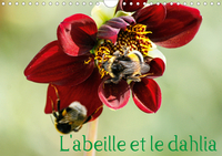 L'abeille et le dahlia (Calendrier mural 2020 DIN A4 horizontal)