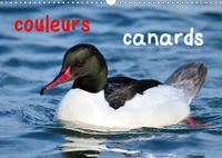 COULEURS CANARDS CAL