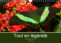TOUT EN LEGERETE CAL