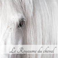 LE ROYAUME DU CHEVAL