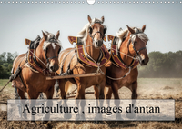 AGRICULTURE IMAGES D