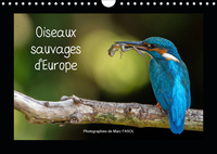 OISEAUX SAUVAGES D EU