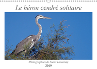 LE HERON CENDRE SOLIT