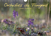 ORCHIDEES DU PERIGORD (CALENDRIER MURAL 2020 DIN A4 HORIZONTAL) - BELLES ET FRAGILES FLEURS SAUVAGES