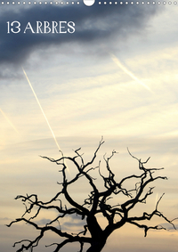 13 ARBRES CALENDRIER