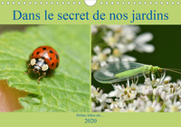 DANS LE SECRET DE NOS