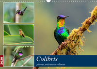 COLIBRIS - PIERRES PRECIEUSES VOLANTES (CALENDRIER MURAL 2020 DIN A3 HORIZONTAL) - LES COLIBRIS DU C