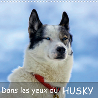 DANS LES YEUX DU HUSK