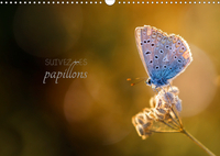 SUIVEZ LES PAPILLONS (CALENDRIER MURAL 2020 DIN A3 HORIZONTAL) - CALENDRIER PHOTO SUR LE THEME DES P