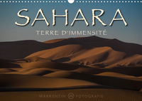 Sahara - Terre d'immensité (Calendrier mural 2020 DIN A3 horizontal)