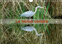 LE HERON CENDRE CALE