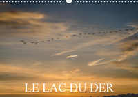 LE LAC DU DER CALEND