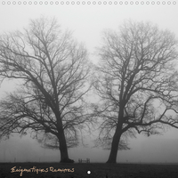 ENIGMATIQUES RAMURES