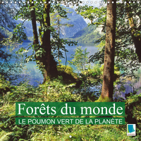 FORETS DU MONDE LE