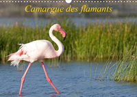 Camargue des flamants (Calendrier mural 2020 DIN A3 horizontal)