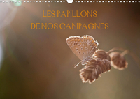 LES PAPILLONS DE NOS