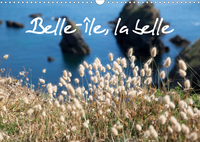 Belle-Île, la belle (Calendrier mural 2020 DIN A3 horizontal)