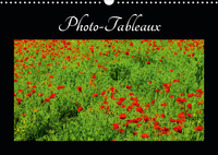 Photo-Tableaux (Calendrier mural 2020 DIN A3 horizontal)