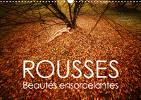 ROUSSE - BEAUTES ENSORCELANTES (CALENDRIER MURAL 2020 DIN A3 HORIZONTAL) - BEAUTES NATURELLES DE LA