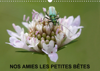 NOS AMIES LES PETITES