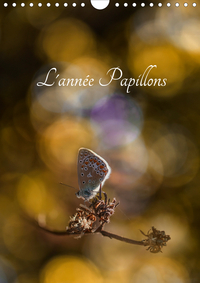 L'ANNEE PAPILLONS (CALENDRIER MURAL 2020 DIN A4 VERTICAL) - CALENDRIER ILLUSTRE AYANT POUR THEME LES