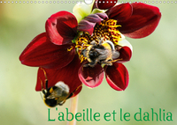 L'abeille et le dahlia (Calendrier mural 2020 DIN A3 horizontal)