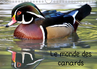 LE MONDE DES CANARDS