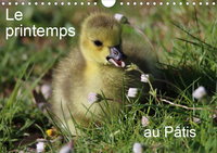 LE PRINTEMPS AU PATIS