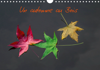 UN AUTOMNE AU BOIS (CALENDRIER MURAL 2020 DIN A4 HORIZONTAL) - UN AUTOMNE DANS LE BOIS DE BOULOGNE.