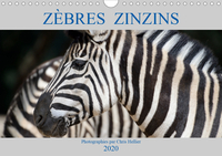 ZEBRES ZINZINS CALEN