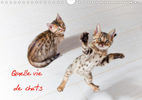 QUELLE VIE DE CHATS (CALENDRIER MURAL 2020 DIN A4 HORIZONTAL) - CHATS ET CHATONS (CALENDRIER MENSUEL