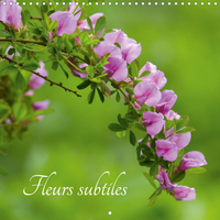FLEURS SUBTILES CALE
