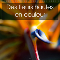 DES FLEURS HAUTES EN
